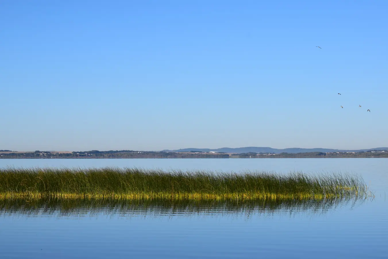 Gull Lake Rezonings